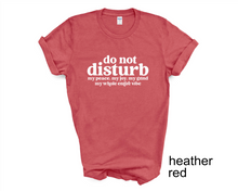 Load image into Gallery viewer, Do Not Disturb My Peace, My Joy, My Grind, My Whole Entire Vibe tshirt, Adult Humor tshirt, Introvert tshirt, Funny tshirt, Gifts, Unisex