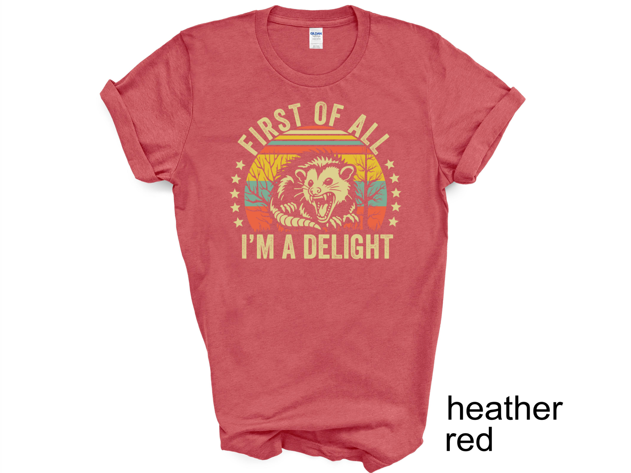 First Of All I'm A Delight Sarcastic Angry Opossum Lover T-Shirt, Cute