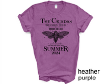 Load image into Gallery viewer, The Cicadas Shirt 2024 Cicada Reunion Tee Funny Cicada Concert T-shirt, Bug Humor Goblincore Insect, Tee Shirts Nature Lover Gift
