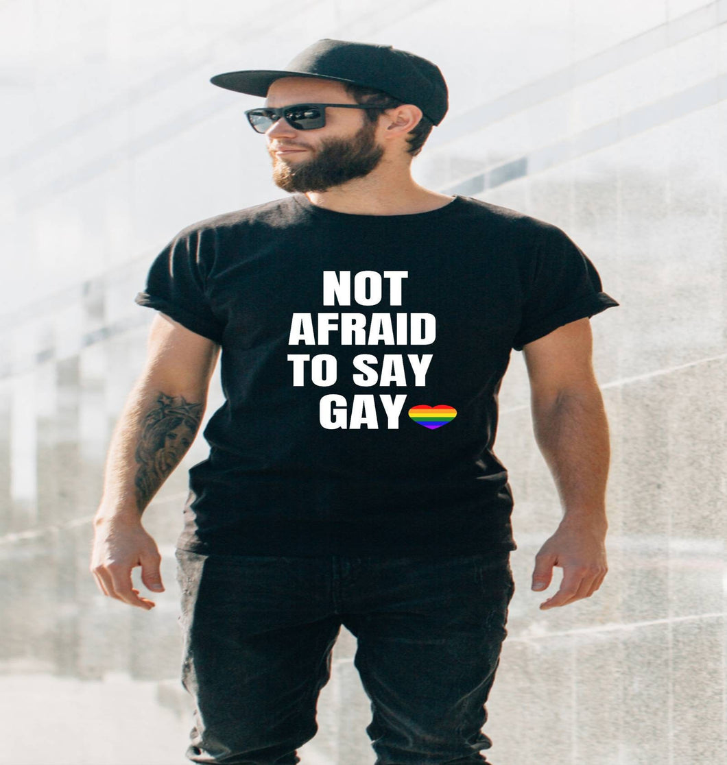 Not Afraid To Say Gay tshirt, Florida Bill against LGTBQ rights tshirt, Say Gay tshirt,